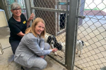 New Animal Welfare Scheme for Sussex launched by Conservative Police and Crime Commissioner, Katy Bourne