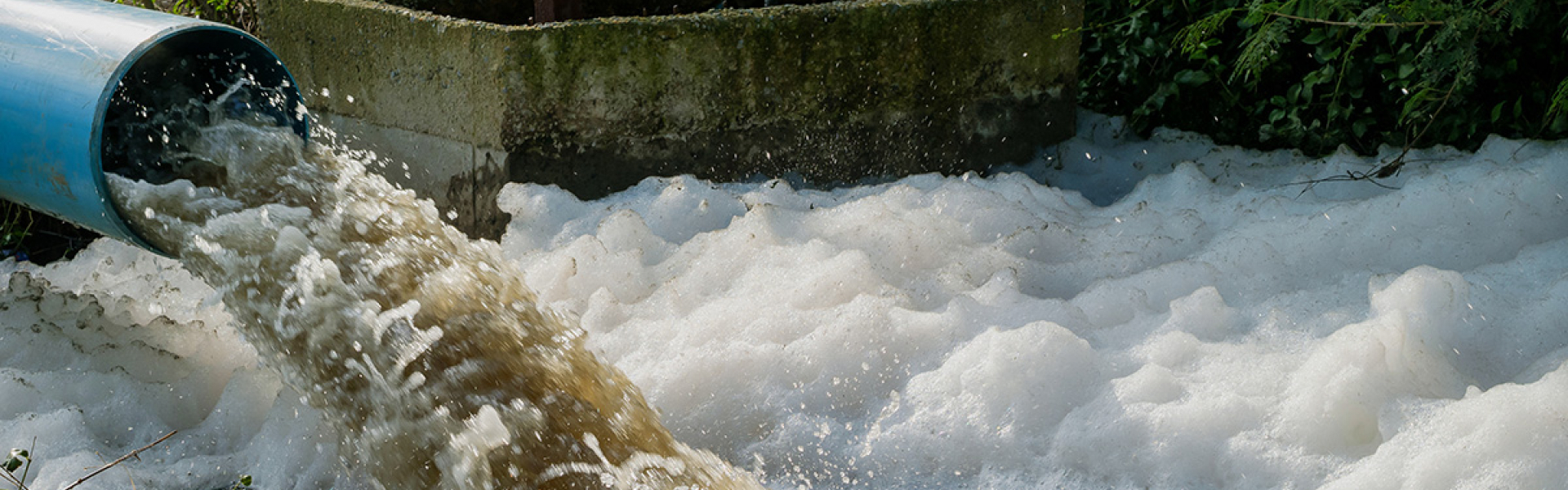 Wealden's Conservative leader demands “more ambitious deadlines” over sewage discharge into our waterways