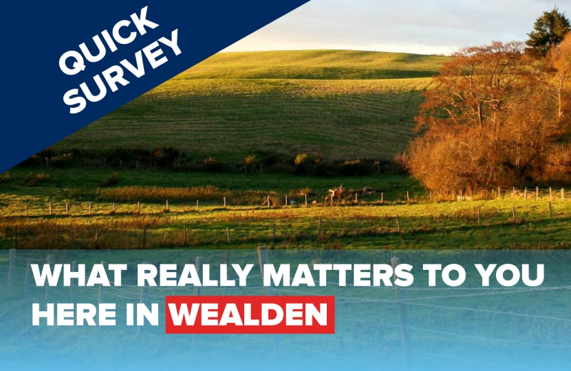 2021 Wealden Survey
