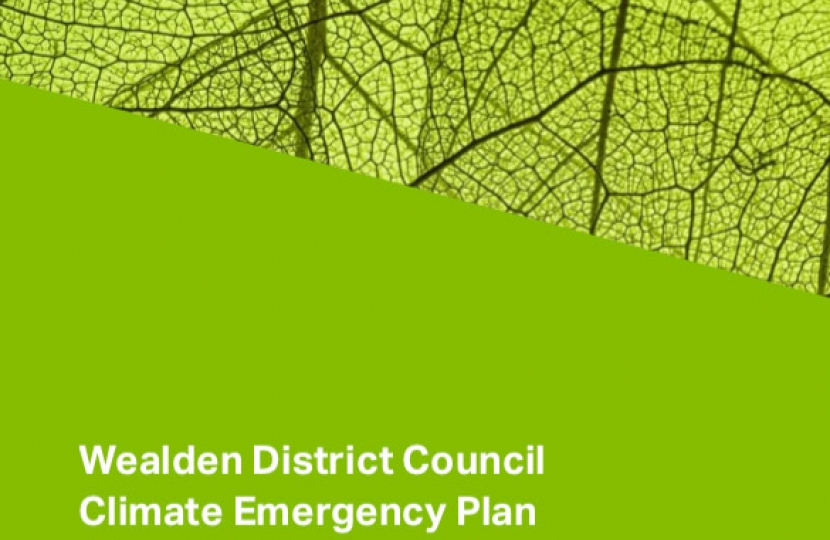 Tackling the Climate Emergency in Wealden - an update from Lead Member, Cllr Roy Galley